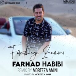 دانلود آهنگ فرهاد حبیبی فرشته زمینی (ریمیکس)